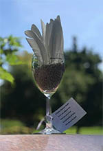 glass of dove feathers