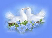 drawing of white doves on nest